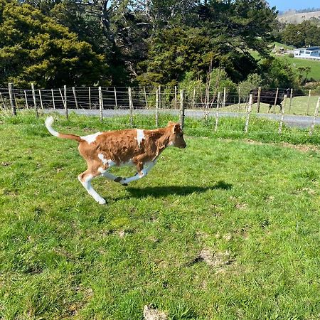 Pukeatua Farmstay Waimauku Exterior photo