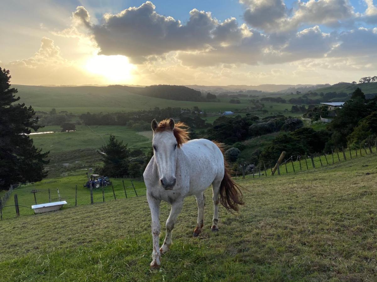 Pukeatua Farmstay Waimauku Exterior photo