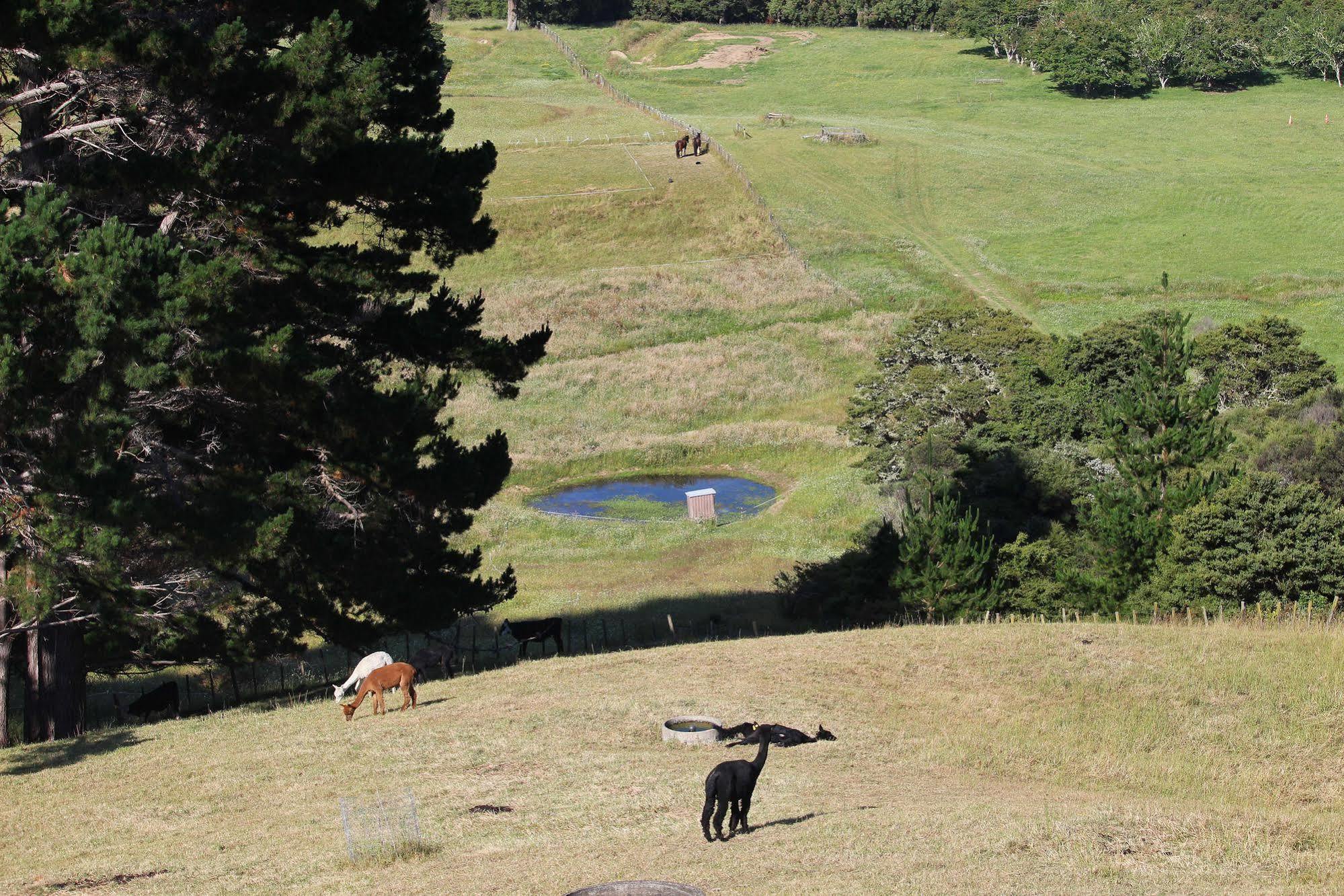 Pukeatua Farmstay Waimauku Exterior photo